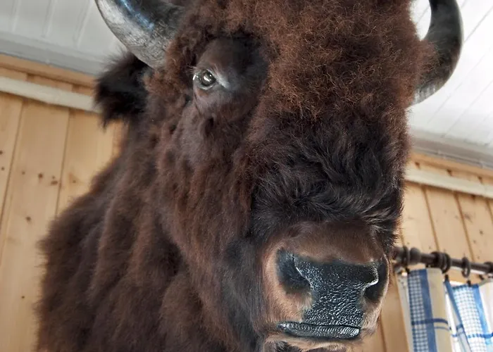 Vandrerhjem Kartano *